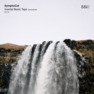 Image for 'Imental Music Tape (remastered)'
