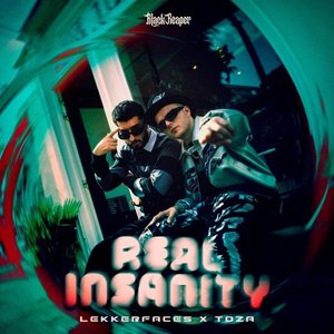 Image for 'REAL INSANITY'