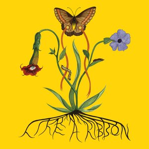Zdjęcia dla 'Like a Ribbon'