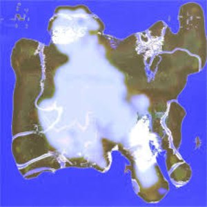 Image for 'Oxalis'