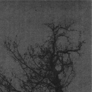Image for 'Leerheit'