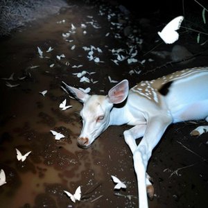 Image for 'sai nara'