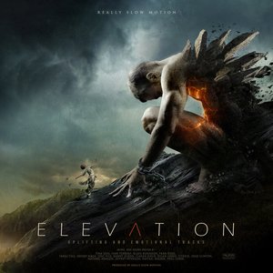 Image for 'Elevation'