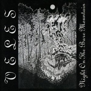 Image for 'Night on the Bare Mountain'