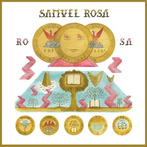 'Rosa'の画像