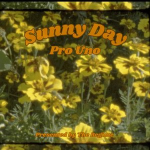 “Sunny Day”的封面