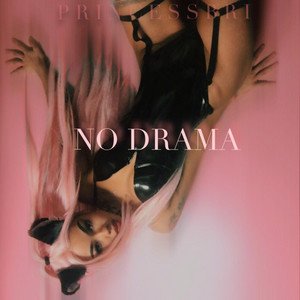 Image for 'No Drama'