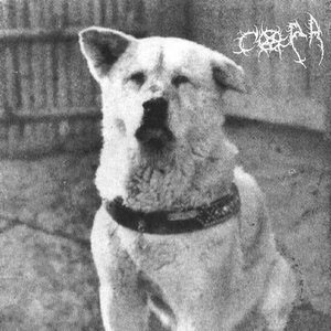 Image for 'eu mudei muito depois que o meu primeiro cachorro morreu . VOLUME 1'