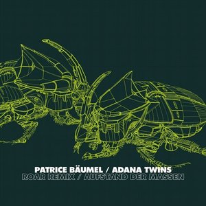 Image for 'Roar (Adana Twins Remix)'