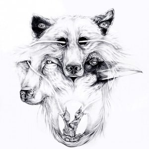Image for 'Lone Wolf'