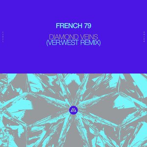 Imagen de 'Diamond Veins (feat. Sarah Rebecca) [VER:WEST Remix]'
