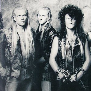 Image for 'McAuley-Schenker Group'