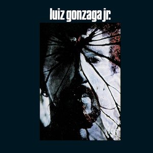 Изображение для 'Luiz Gonzaga Jr'