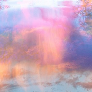 Image for 'for those who stay'