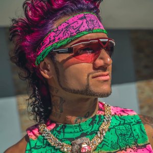 Immagine per 'FUCHSiA FALCON'