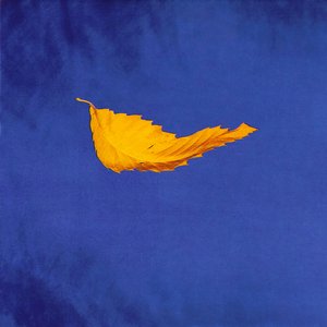 Image for 'True Faith'