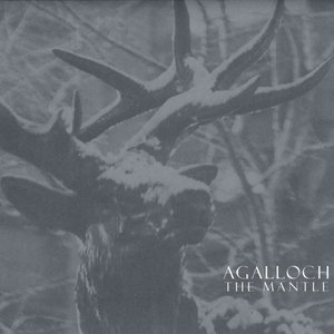 Image for 'The Mantle [Remastered]'