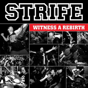 'Witness a Rebirth'の画像