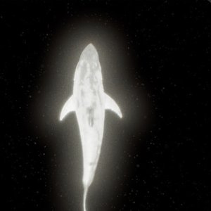 Image for 'Infinito'