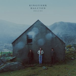 Image for 'Halcyon (Deluxe)'