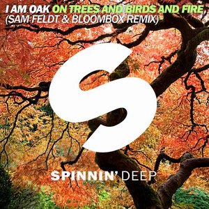 Image for 'On Trees and Birds and Fire (Sam Feldt & Bloombox Remix)'