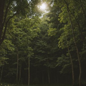 Image for 'Nature'