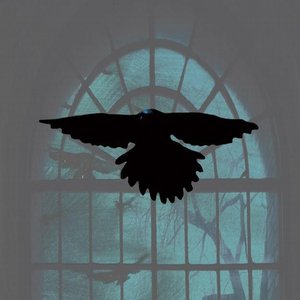 Image for 'It Will Not Come Back'