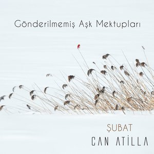 'Gönderilmemiş Aşk Mektupları / Şubat (Akustik Versiyon)' için resim