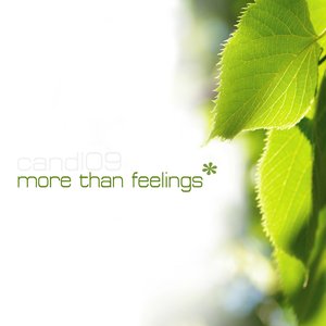 Image for 'v.a. more than feelings'