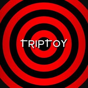 Image for 'Triptoy'