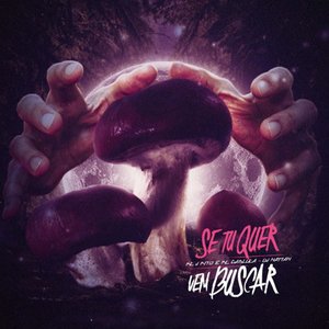 Image for 'Se Tu Quer, Vem Buscar'