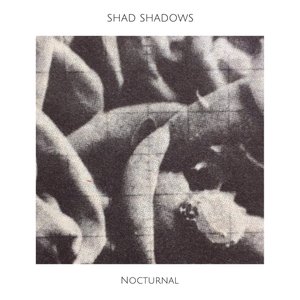 Image for 'Nocturnal'