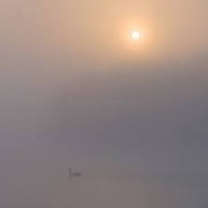 Image for 'Gentle Air'