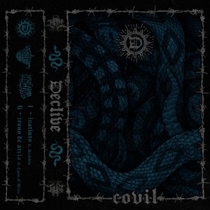 Image for 'Covil'