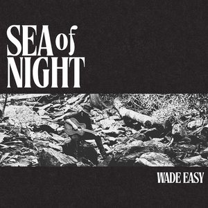 Immagine per 'Sea of Night'