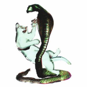 'Cat and the Cobra' için resim