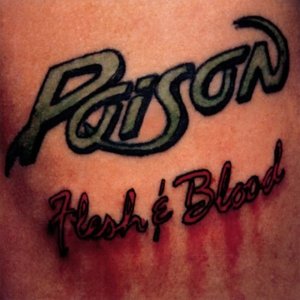 Image for 'Flesh & Blood'
