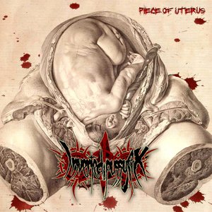 Image for 'Piece of Uterus'