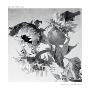 Image for 'Mother-of-pearl Moon'