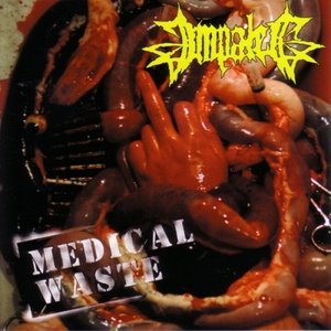 Image for 'Medical Waste'