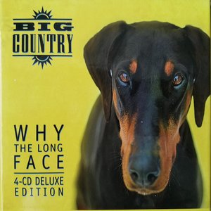 Imagen de 'Why the Long Face (Bonus Tracks & Demos)'