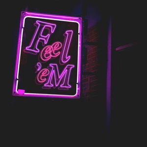 Image for 'Feel'eM'