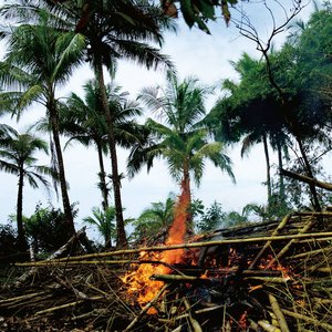 Zdjęcia dla 'Metaphors - Selected Soundworks from the Cinema of Apichatpong Weerasethakul'