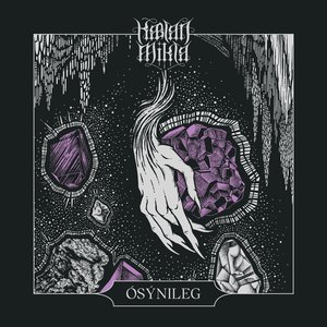 Image for 'Ósýnileg'