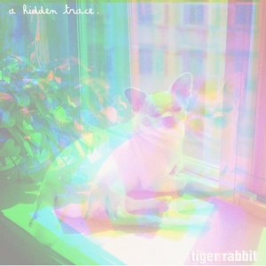 Image for 'Tiger Rabbit'