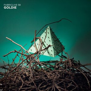 Image for 'Fabriclive 58: Goldie'