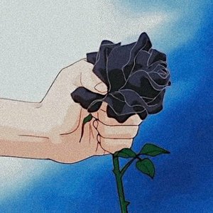 Image for 'ache (demos)'