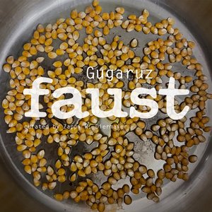 “Gugaruz (curated by Zappi W. Diermaier)”的封面