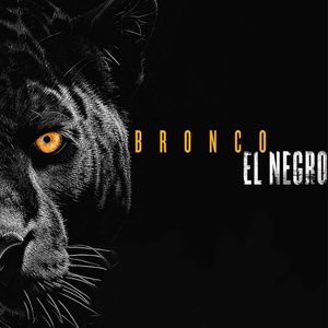 Image for 'Bronco'