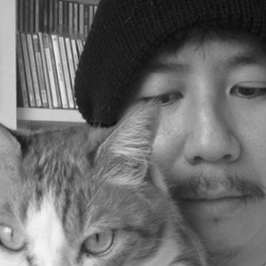 Imagen de '25,000 Kittens'